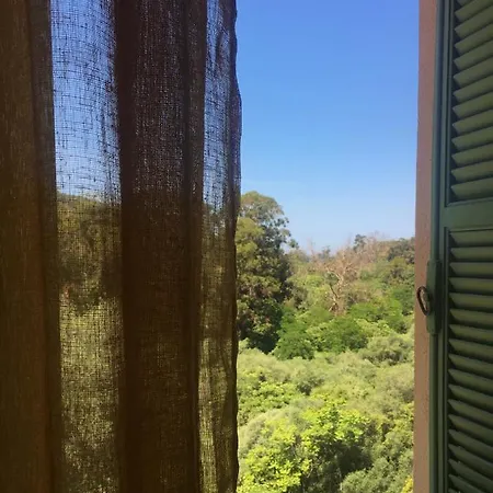 Apartment Mare Nostrum Porto (Corsica)