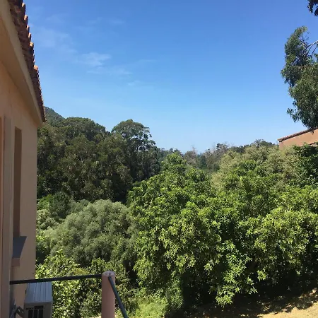Apartment Mare Nostrum Porto (Corsica)